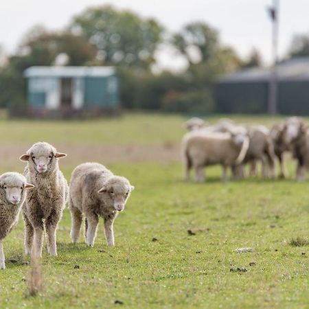 Romney Marsh Huts By Bloom Stays แอชฟอร์ด ภายนอก รูปภาพ