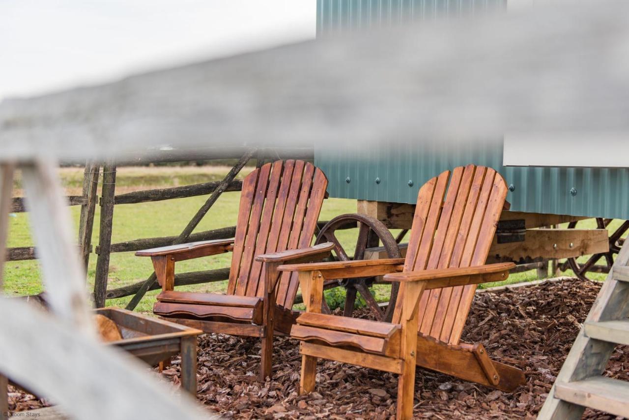 Romney Marsh Huts By Bloom Stays แอชฟอร์ด ภายนอก รูปภาพ