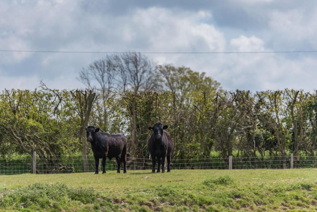 Romney Marsh Huts By Bloom Stays แอชฟอร์ด ภายนอก รูปภาพ